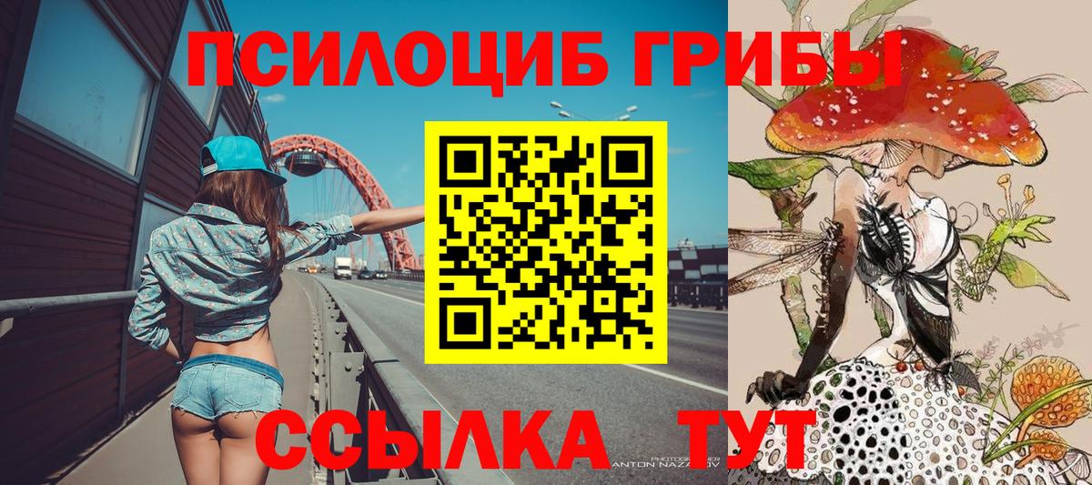 Мурманск  Галлюциногенные грибы прущие грибы  Вход с VPN  Галлюциногенные грибы Magic Shrooms 