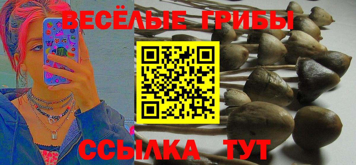 АМФЕТАМИН   Экстази  КОКАИН  МЕФ   Alpha-PVP СК   Вход с VPN  Марихуана  Мурманск  ГАШ  NBOMe 